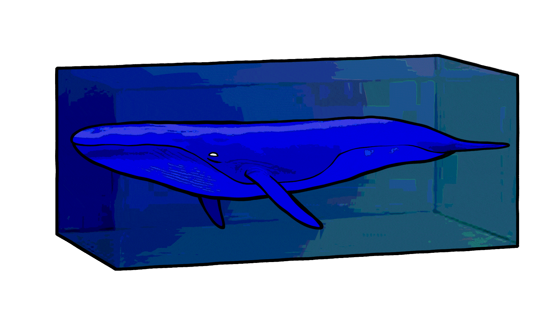 Animated GIF depicting a drawing of a whale floating inside a water tank, shivering and blinking slowly. It pushes bubbles out of its blowhole once In a while.